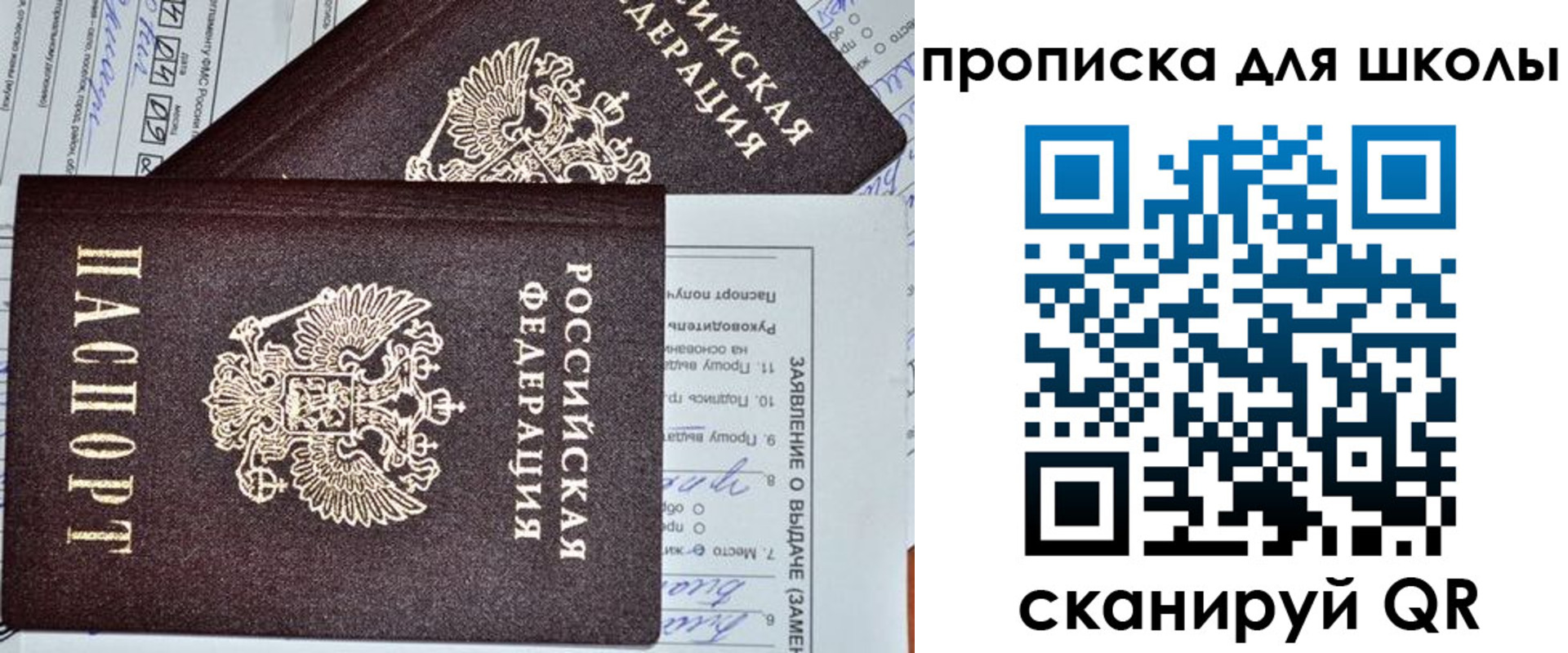 прописка в Фокино